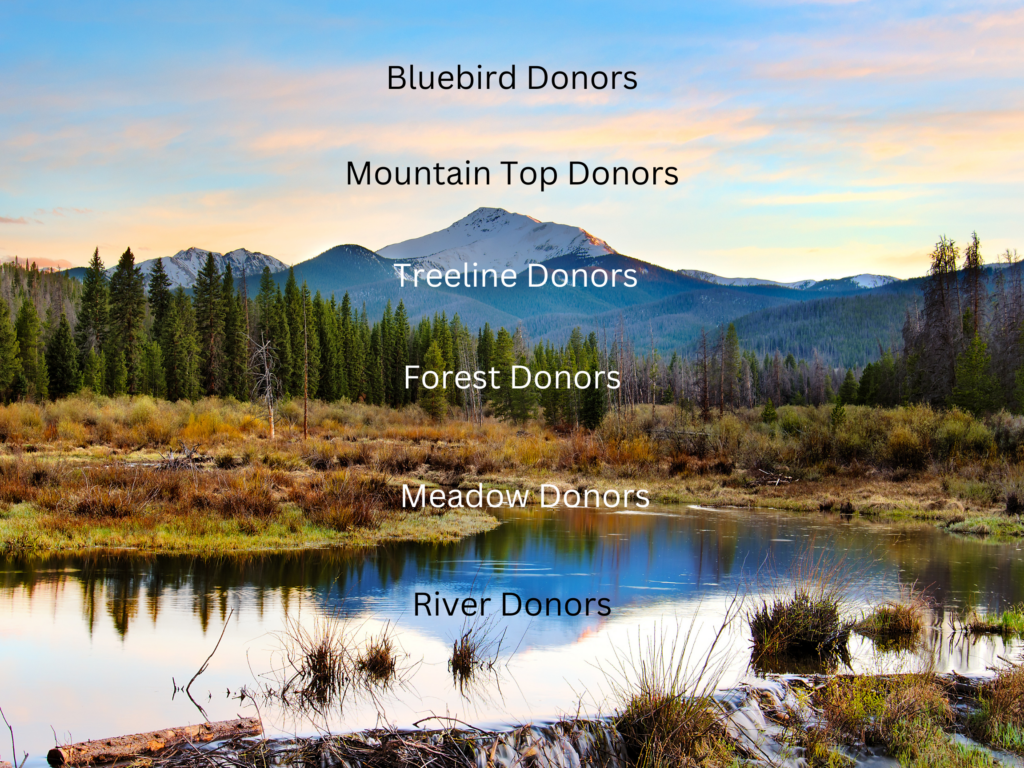Mountainscape Donors (4)
